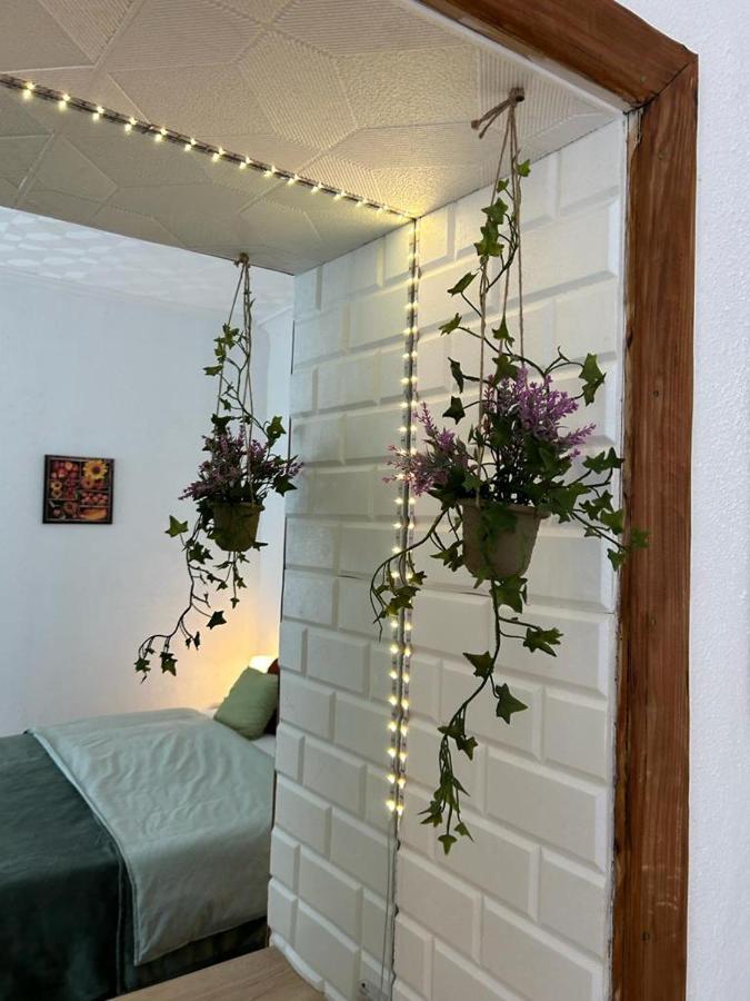Guest House Rusu Brasov Luaran gambar